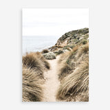 Shop Coastal Path I Photo Art Print a coastal themed photography wall art print from The Print Emporium wall artwork collection - Buy Australian made fine art poster and framed prints for the home and your interior decor, TPE-1152-AP