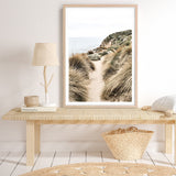 Shop Coastal Path I Photo Art Print a coastal themed photography wall art print from The Print Emporium wall artwork collection - Buy Australian made fine art poster and framed prints for the home and your interior decor, TPE-1152-AP