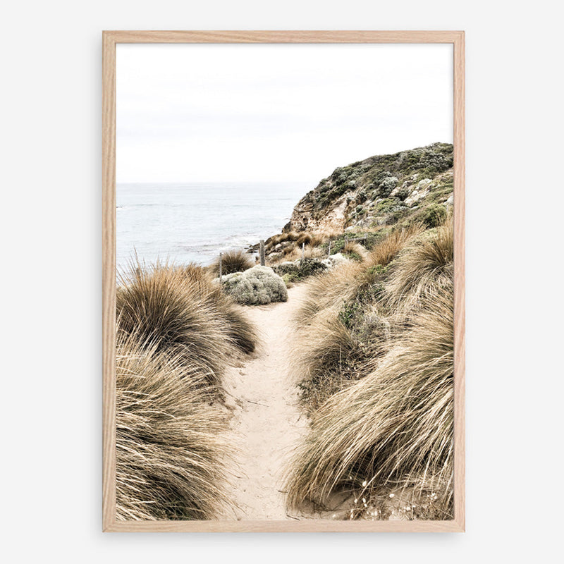 Shop Coastal Path I Photo Art Print a coastal themed photography wall art print from The Print Emporium wall artwork collection - Buy Australian made fine art poster and framed prints for the home and your interior decor, TPE-1152-AP