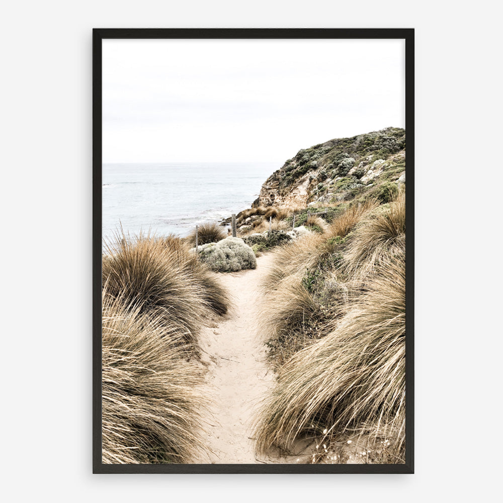 Shop Coastal Path I Photo Art Print a coastal themed photography wall art print from The Print Emporium wall artwork collection - Buy Australian made fine art poster and framed prints for the home and your interior decor, TPE-1152-AP