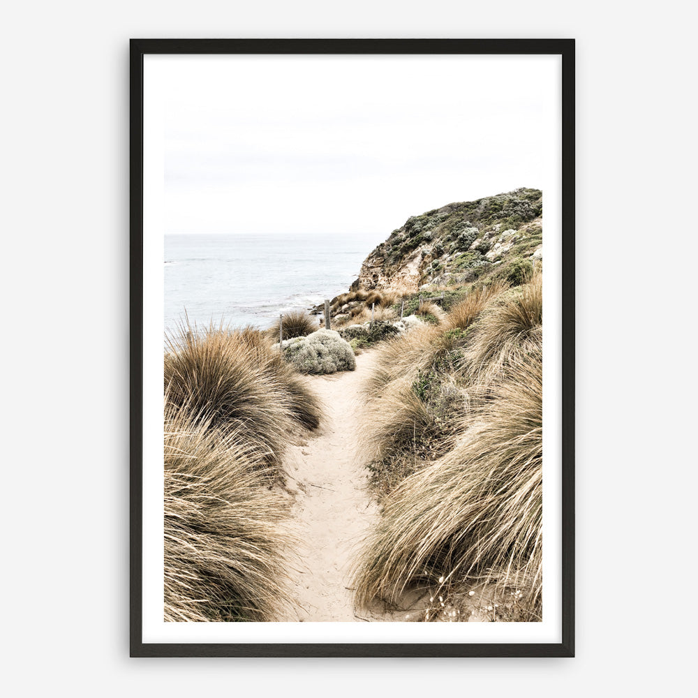 Shop Coastal Path I Photo Art Print a coastal themed photography wall art print from The Print Emporium wall artwork collection - Buy Australian made fine art poster and framed prints for the home and your interior decor, TPE-1152-AP