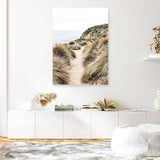 Shop Coastal Path I Photo Canvas Print a coastal themed photography framed stretched canvas print from The Print Emporium wall artwork collection - Buy Australian made prints for the home and your interior decor space, TPE-1152-CA-35X46-NF
