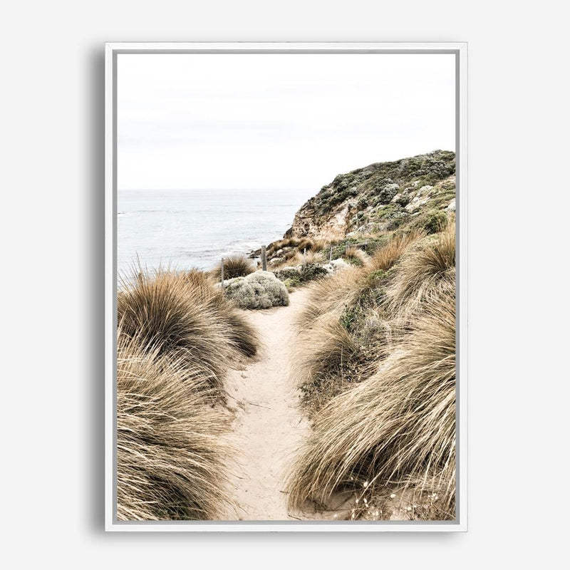 Shop Coastal Path I Photo Canvas Print a coastal themed photography framed stretched canvas print from The Print Emporium wall artwork collection - Buy Australian made prints for the home and your interior decor space, TPE-1152-CA-35X46-NF