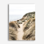 Shop Coastal Path I Photo Canvas Print a coastal themed photography framed stretched canvas print from The Print Emporium wall artwork collection - Buy Australian made prints for the home and your interior decor space, TPE-1152-CA-35X46-NF