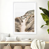 Shop Coastal Path II Photo Art Print a coastal themed photography wall art print from The Print Emporium wall artwork collection - Buy Australian made fine art poster and framed prints for the home and your interior decor, TPE-1153-AP