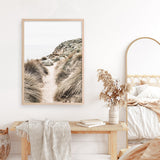 Shop Coastal Path II Photo Art Print a coastal themed photography wall art print from The Print Emporium wall artwork collection - Buy Australian made fine art poster and framed prints for the home and your interior decor, TPE-1153-AP
