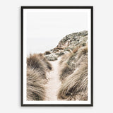 Shop Coastal Path II Photo Art Print a coastal themed photography wall art print from The Print Emporium wall artwork collection - Buy Australian made fine art poster and framed prints for the home and your interior decor, TPE-1153-AP