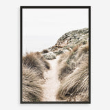 Shop Coastal Path II Photo Art Print a coastal themed photography wall art print from The Print Emporium wall artwork collection - Buy Australian made fine art poster and framed prints for the home and your interior decor, TPE-1153-AP