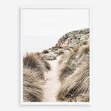 Shop Coastal Path II Photo Art Print a coastal themed photography wall art print from The Print Emporium wall artwork collection - Buy Australian made fine art poster and framed prints for the home and your interior decor, TPE-1153-AP