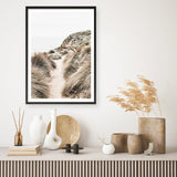 Shop Coastal Path II Photo Art Print a coastal themed photography wall art print from The Print Emporium wall artwork collection - Buy Australian made fine art poster and framed prints for the home and your interior decor, TPE-1153-AP