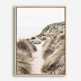 Shop Coastal Path II Photo Canvas Print a coastal themed photography framed stretched canvas print from The Print Emporium wall artwork collection - Buy Australian made prints for the home and your interior decor space, TPE-1153-CA-35X46-NF