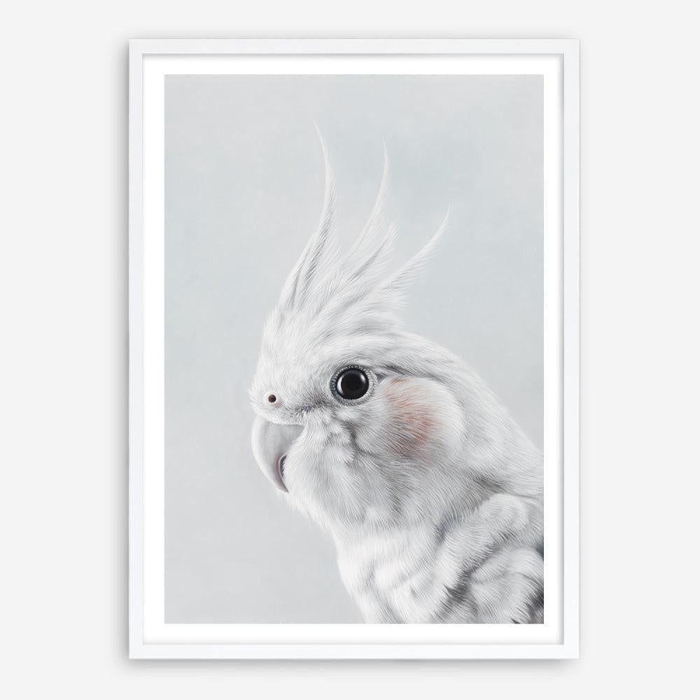 Shop Cockatiel Art Print a painted bird themed wall art print from The Print Emporium wall artwork collection - Buy Australian made fine art painting style poster and framed prints for the home and your interior decor room, TPE-012-AP