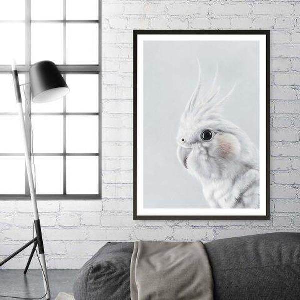 Buy Cockatiel Art Print | The Print Emporium®