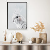 Shop Cockatiel Art Print a painted bird themed wall art print from The Print Emporium wall artwork collection - Buy Australian made fine art painting style poster and framed prints for the home and your interior decor room, TPE-012-AP