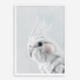 Shop Cockatiel Art Print a painted bird themed wall art print from The Print Emporium wall artwork collection - Buy Australian made fine art painting style poster and framed prints for the home and your interior decor room, TPE-012-AP