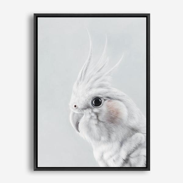 Shop Cockatiel Canvas Print a painted bird themed framed canvas wall art print from The Print Emporium artwork collection - Buy Australian made fine art painting style stretched canvas prints for the home and your interior decor space, TPE-012-CA-35X46-NF