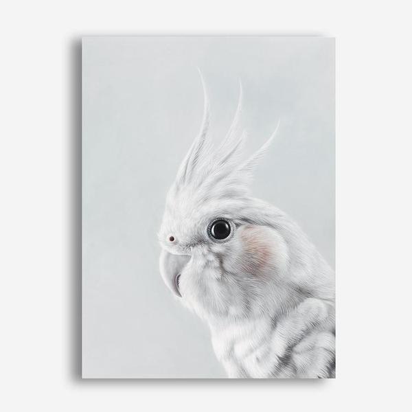 Shop Cockatiel Canvas Print a painted bird themed framed canvas wall art print from The Print Emporium artwork collection - Buy Australian made fine art painting style stretched canvas prints for the home and your interior decor space, TPE-012-CA-35X46-NF