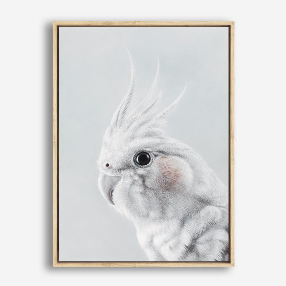 Shop Cockatiel Canvas Print a painted bird themed framed canvas wall art print from The Print Emporium artwork collection - Buy Australian made fine art painting style stretched canvas prints for the home and your interior decor space, TPE-012-CA-35X46-NF