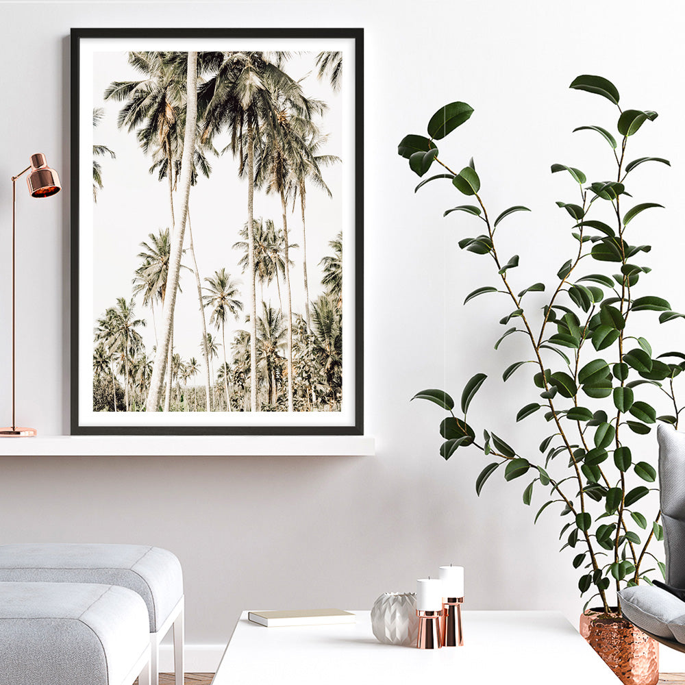 Shop Coconut Palm Plantation Photo Art Print a coastal themed photography wall art print from The Print Emporium wall artwork collection - Buy Australian made fine art poster and framed prints for the home and your interior decor, TPE-1088-AP