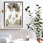 Shop Coconut Palm Plantation Photo Art Print a coastal themed photography wall art print from The Print Emporium wall artwork collection - Buy Australian made fine art poster and framed prints for the home and your interior decor, TPE-1088-AP