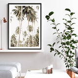 Shop Coconut Palm Plantation Photo Art Print a coastal themed photography wall art print from The Print Emporium wall artwork collection - Buy Australian made fine art poster and framed prints for the home and your interior decor, TPE-1088-AP
