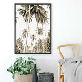 Shop Coconut Palm Plantation Photo Art Print a coastal themed photography wall art print from The Print Emporium wall artwork collection - Buy Australian made fine art poster and framed prints for the home and your interior decor, TPE-1088-AP