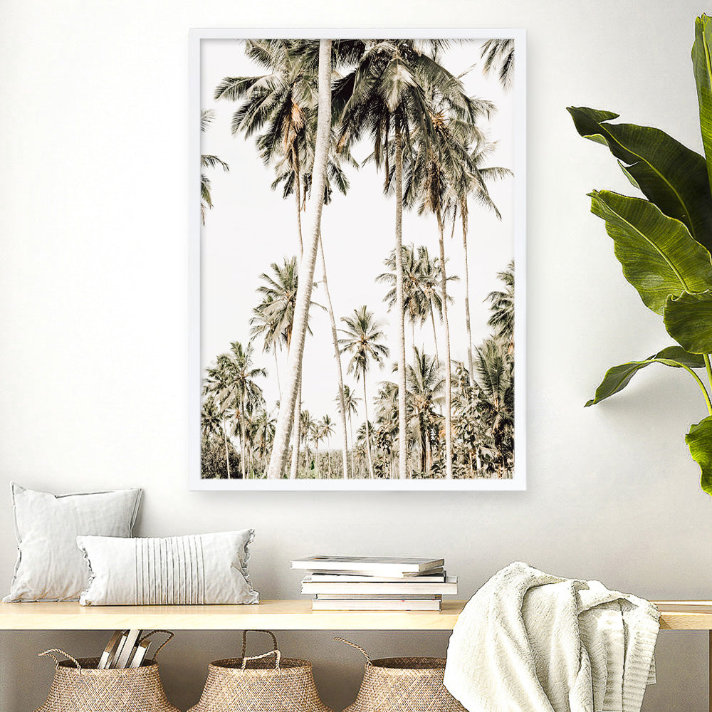 Shop Coconut Palm Plantation Photo Art Print a coastal themed photography wall art print from The Print Emporium wall artwork collection - Buy Australian made fine art poster and framed prints for the home and your interior decor, TPE-1088-AP