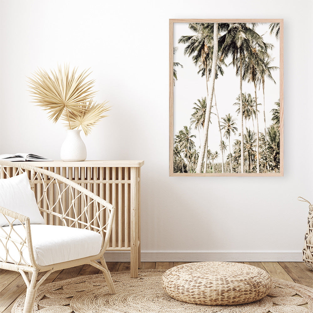 Shop Coconut Palm Plantation Photo Art Print a coastal themed photography wall art print from The Print Emporium wall artwork collection - Buy Australian made fine art poster and framed prints for the home and your interior decor, TPE-1088-AP