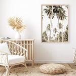 Shop Coconut Palm Plantation Photo Art Print a coastal themed photography wall art print from The Print Emporium wall artwork collection - Buy Australian made fine art poster and framed prints for the home and your interior decor, TPE-1088-AP