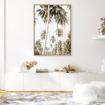 Shop Coconut Palm Plantation Photo Canvas Print a coastal themed photography framed stretched canvas print from The Print Emporium wall artwork collection - Buy Australian made prints for the home and your interior decor space, TPE-1088-CA-35X46-NF