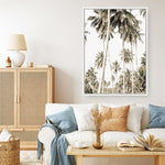 Shop Coconut Palm Plantation Photo Canvas Print a coastal themed photography framed stretched canvas print from The Print Emporium wall artwork collection - Buy Australian made prints for the home and your interior decor space, TPE-1088-CA-35X46-NF