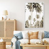 Shop Coconut Palm Plantation Photo Canvas Print a coastal themed photography framed stretched canvas print from The Print Emporium wall artwork collection - Buy Australian made prints for the home and your interior decor space, TPE-1088-CA-35X46-NF
