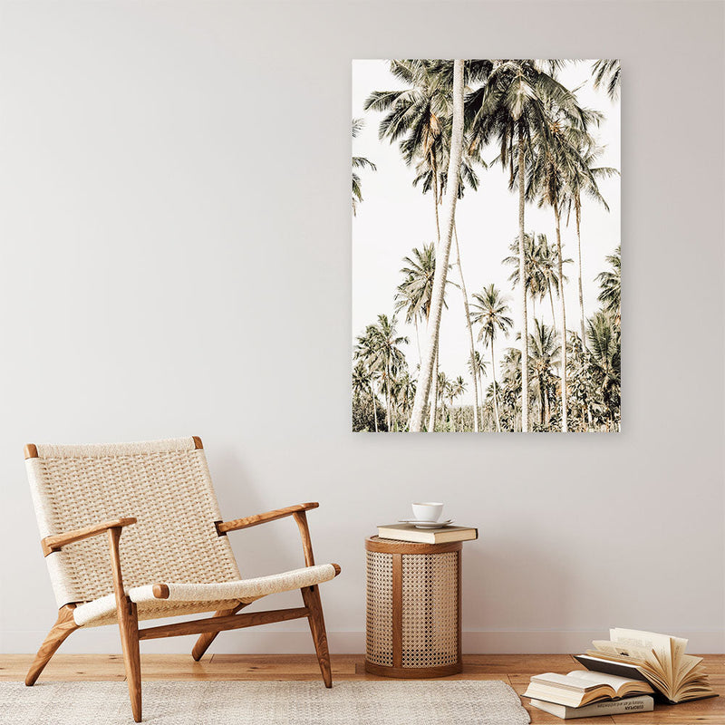 Shop Coconut Palm Plantation Photo Canvas Print a coastal themed photography framed stretched canvas print from The Print Emporium wall artwork collection - Buy Australian made prints for the home and your interior decor space, TPE-1088-CA-35X46-NF