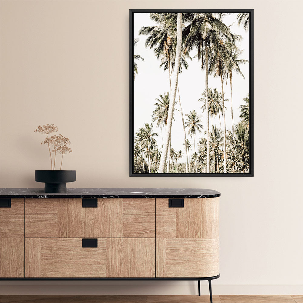 Shop Coconut Palm Plantation Photo Canvas Print a coastal themed photography framed stretched canvas print from The Print Emporium wall artwork collection - Buy Australian made prints for the home and your interior decor space, TPE-1088-CA-35X46-NF