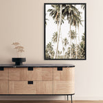 Shop Coconut Palm Plantation Photo Canvas Print a coastal themed photography framed stretched canvas print from The Print Emporium wall artwork collection - Buy Australian made prints for the home and your interior decor space, TPE-1088-CA-35X46-NF