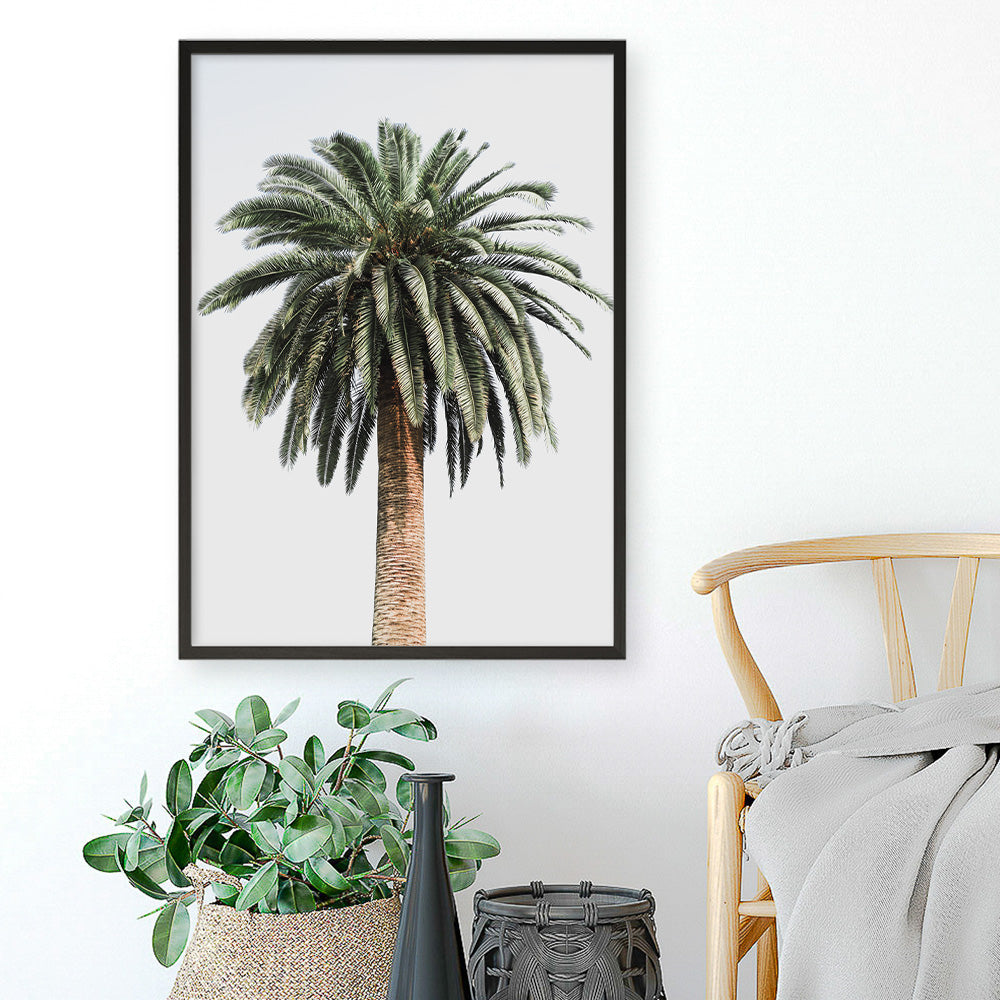 Shop Coconut Palm Tree Photo Art Print a coastal themed photography wall art print from The Print Emporium wall artwork collection - Buy Australian made fine art poster and framed prints for the home and your interior decor, TPE-1079-AP