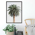 Shop Coconut Palm Tree Photo Art Print a coastal themed photography wall art print from The Print Emporium wall artwork collection - Buy Australian made fine art poster and framed prints for the home and your interior decor, TPE-1079-AP