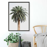 Shop Coconut Palm Tree Photo Art Print a coastal themed photography wall art print from The Print Emporium wall artwork collection - Buy Australian made fine art poster and framed prints for the home and your interior decor, TPE-1079-AP