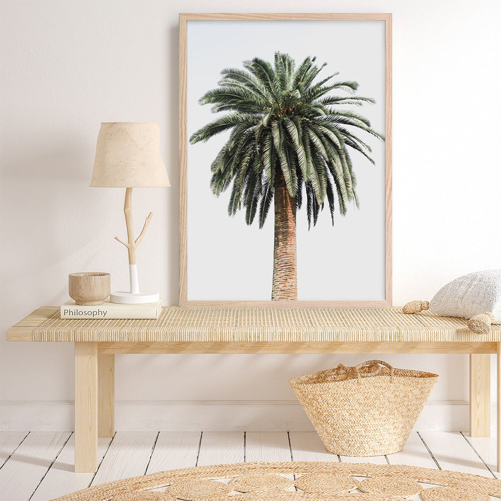 Shop Coconut Palm Tree Photo Art Print a coastal themed photography wall art print from The Print Emporium wall artwork collection - Buy Australian made fine art poster and framed prints for the home and your interior decor, TPE-1079-AP