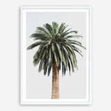 Shop Coconut Palm Tree Photo Art Print a coastal themed photography wall art print from The Print Emporium wall artwork collection - Buy Australian made fine art poster and framed prints for the home and your interior decor, TPE-1079-AP