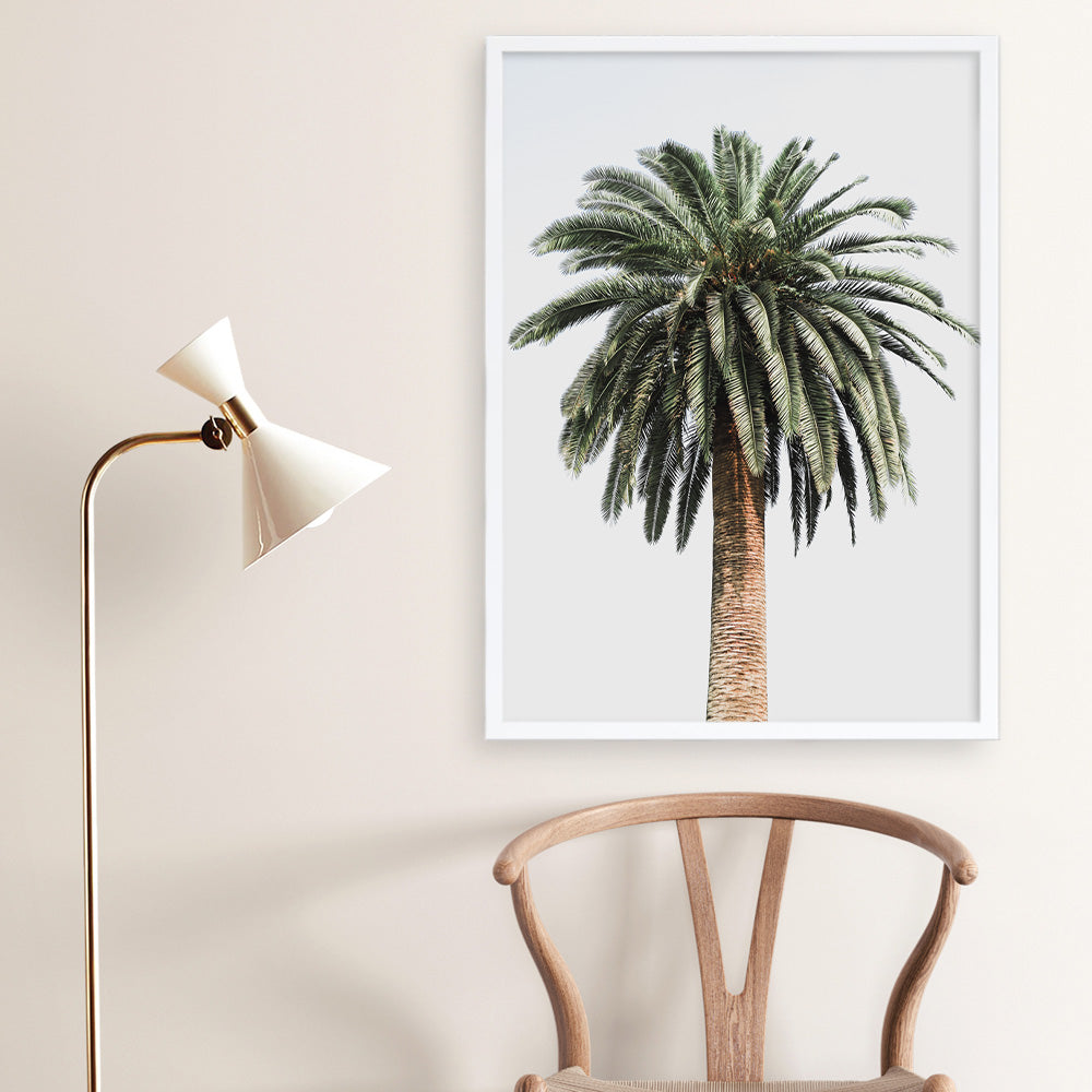Shop Coconut Palm Tree Photo Art Print a coastal themed photography wall art print from The Print Emporium wall artwork collection - Buy Australian made fine art poster and framed prints for the home and your interior decor, TPE-1079-AP