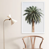 Shop Coconut Palm Tree Photo Art Print a coastal themed photography wall art print from The Print Emporium wall artwork collection - Buy Australian made fine art poster and framed prints for the home and your interior decor, TPE-1079-AP