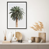 Shop Coconut Palm Tree Photo Art Print a coastal themed photography wall art print from The Print Emporium wall artwork collection - Buy Australian made fine art poster and framed prints for the home and your interior decor, TPE-1079-AP