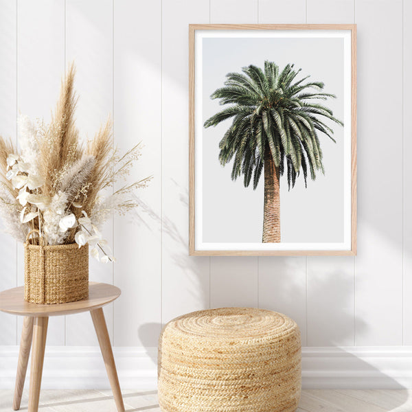 Shop Coconut Palm Tree Photo Art Print a coastal themed photography wall art print from The Print Emporium wall artwork collection - Buy Australian made fine art poster and framed prints for the home and your interior decor, TPE-1079-AP