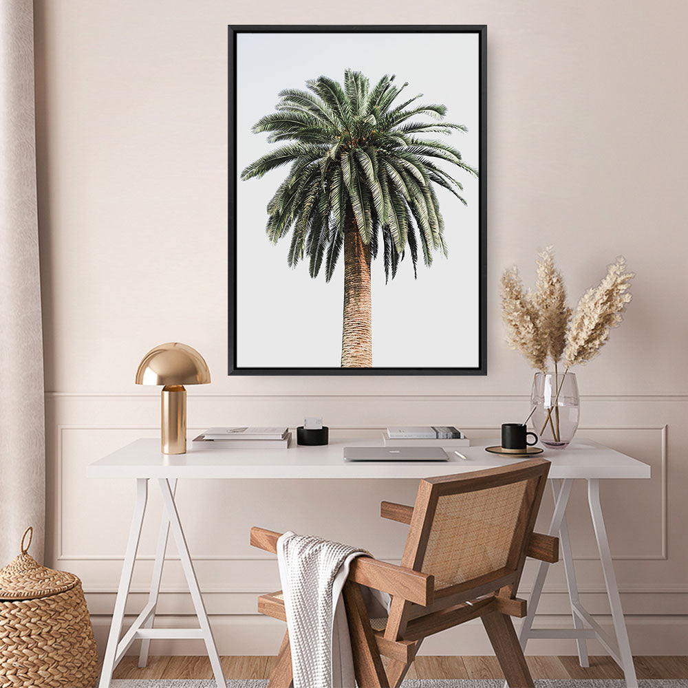 Shop Coconut Palm Tree Photo Canvas Print a coastal themed photography framed stretched canvas print from The Print Emporium wall artwork collection - Buy Australian made prints for the home and your interior decor space, TPE-1079-CA-35X46-NF