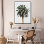 Shop Coconut Palm Tree Photo Canvas Print a coastal themed photography framed stretched canvas print from The Print Emporium wall artwork collection - Buy Australian made prints for the home and your interior decor space, TPE-1079-CA-35X46-NF