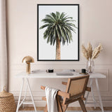 Shop Coconut Palm Tree Photo Canvas Print a coastal themed photography framed stretched canvas print from The Print Emporium wall artwork collection - Buy Australian made prints for the home and your interior decor space, TPE-1079-CA-35X46-NF