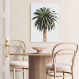 Shop Coconut Palm Tree Photo Canvas Print a coastal themed photography framed stretched canvas print from The Print Emporium wall artwork collection - Buy Australian made prints for the home and your interior decor space, TPE-1079-CA-35X46-NF