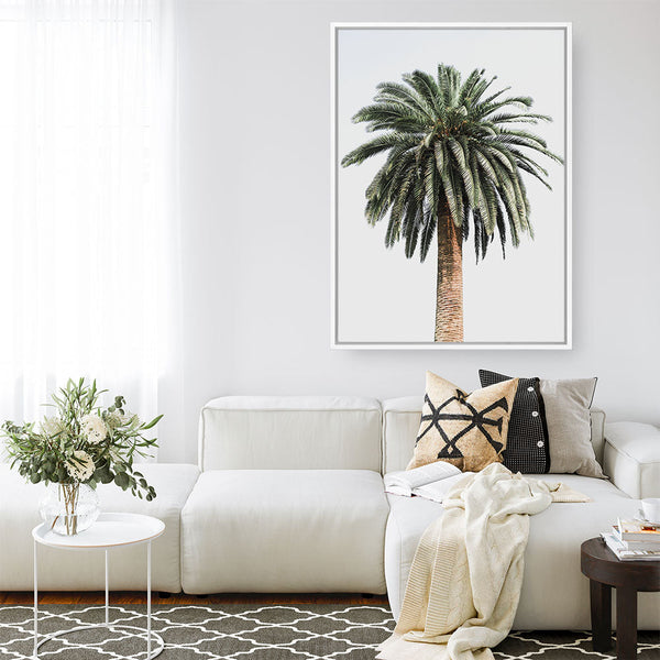 Shop Coconut Palm Tree Photo Canvas Print a coastal themed photography framed stretched canvas print from The Print Emporium wall artwork collection - Buy Australian made prints for the home and your interior decor space, TPE-1079-CA-35X46-NF
