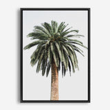 Shop Coconut Palm Tree Photo Canvas Print a coastal themed photography framed stretched canvas print from The Print Emporium wall artwork collection - Buy Australian made prints for the home and your interior decor space, TPE-1079-CA-35X46-NF
